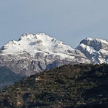 Agriturismo Terre Del Mistero Apricale Exteriör bild