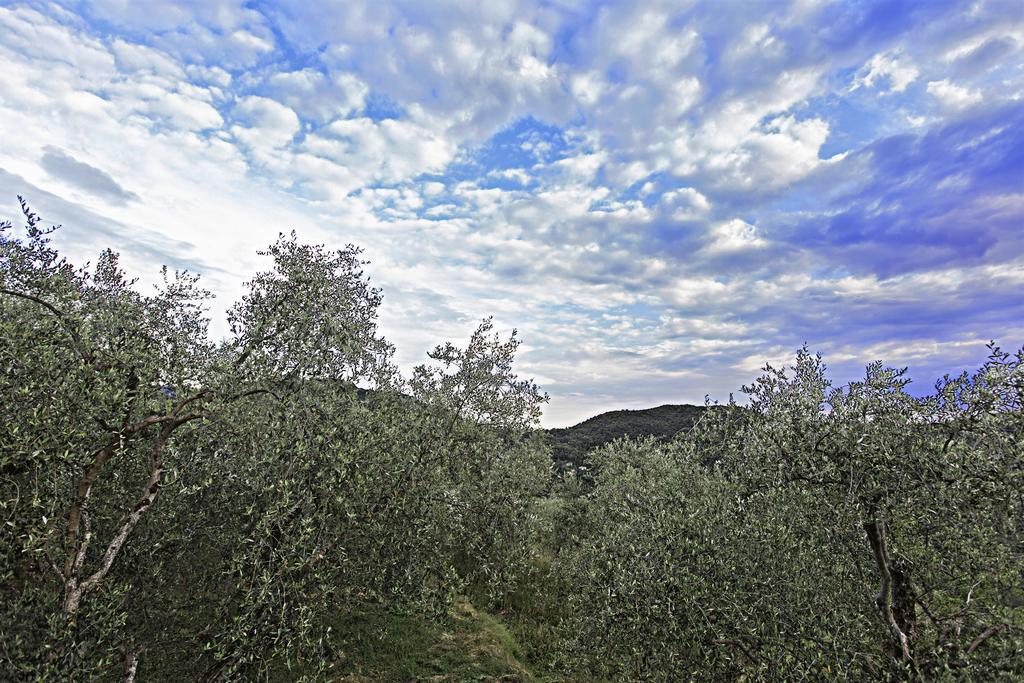 Agriturismo Terre Del Mistero Apricale Exteriör bild