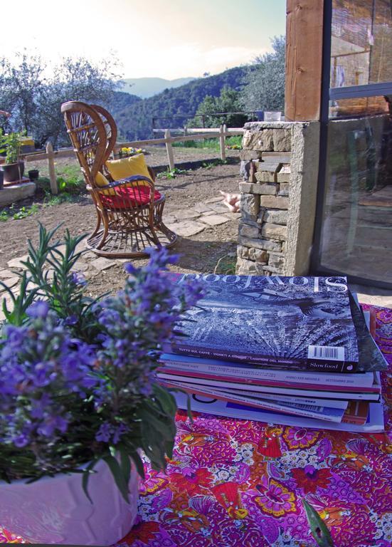 Agriturismo Terre Del Mistero Apricale Exteriör bild